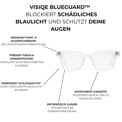 v:TransparentSilber ord:06 feature