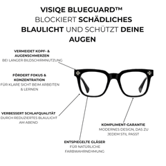 v:SchwarzSilber ord:06 feature